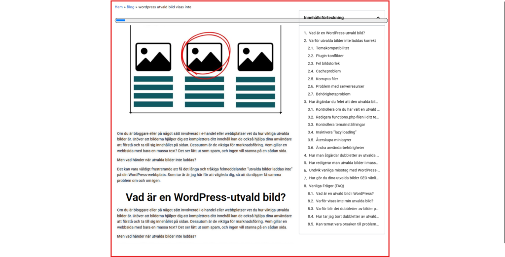 Visar bild på hemsida och varför man ska inte ha rätt bildstorlek