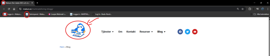 Exempel på att favicon existerar i webbläsarflikar