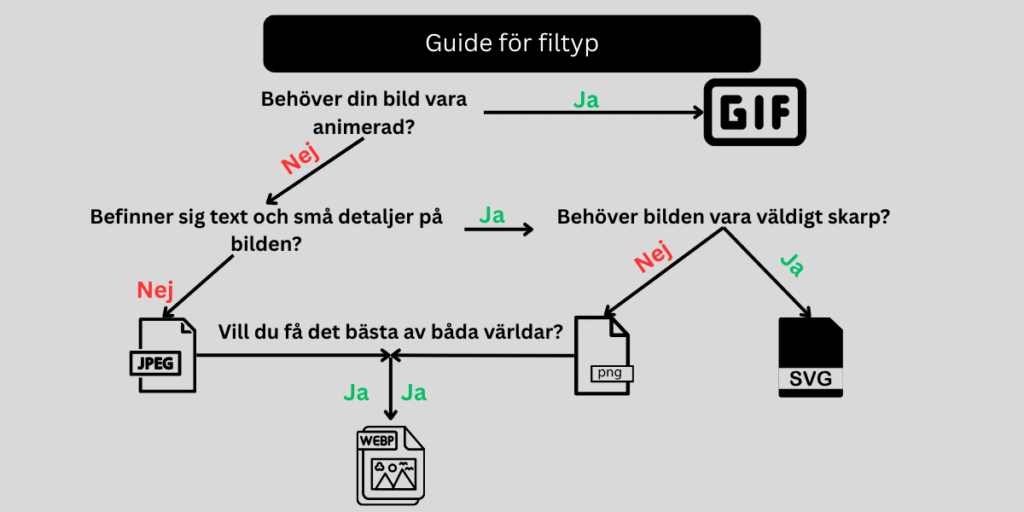 Guide för vilka filtyper man ska välja och varför